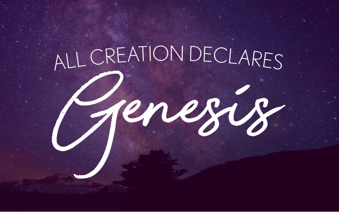 All Creation Declares